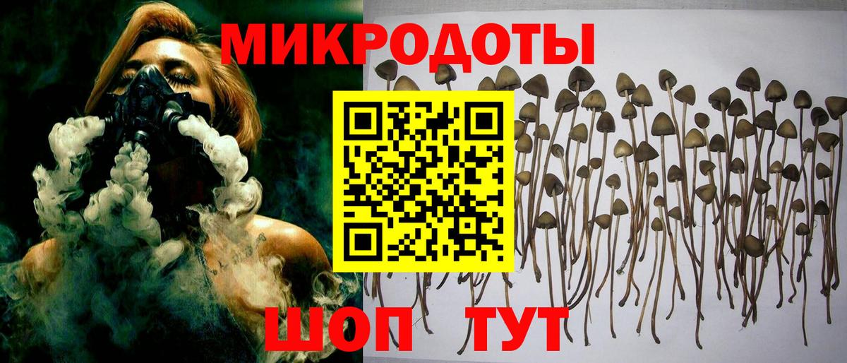 Галлюциногенные грибы Psilocybine cubensis Нефтеюганск